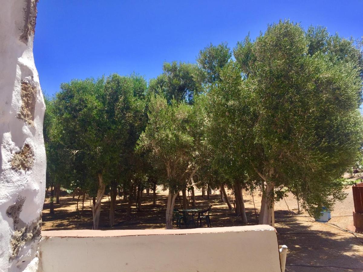 Bungalow Alma #Only Adults El Charco  Exteriér fotografie