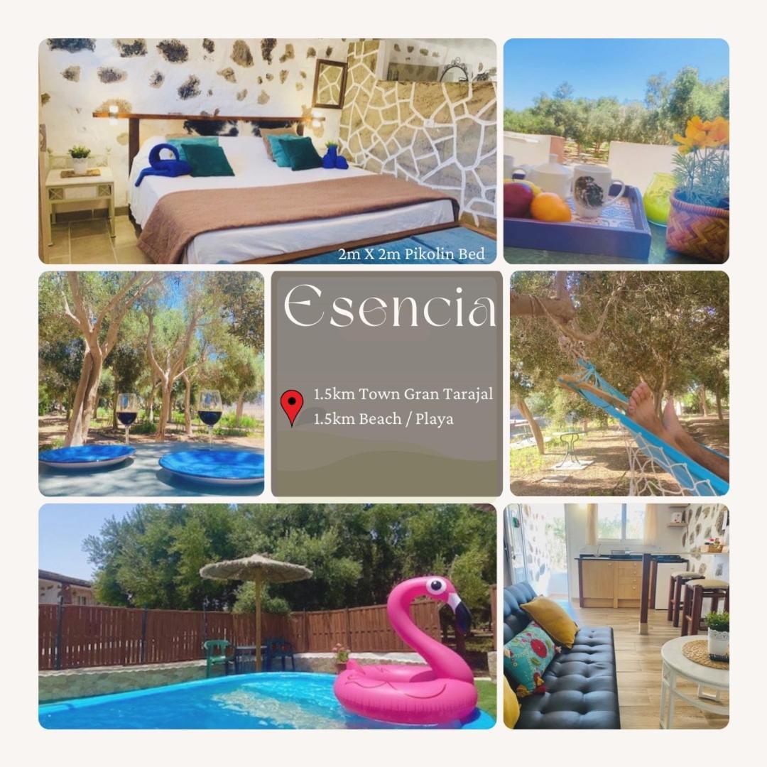 Bungalow Alma #Only Adults El Charco  Exteriér fotografie